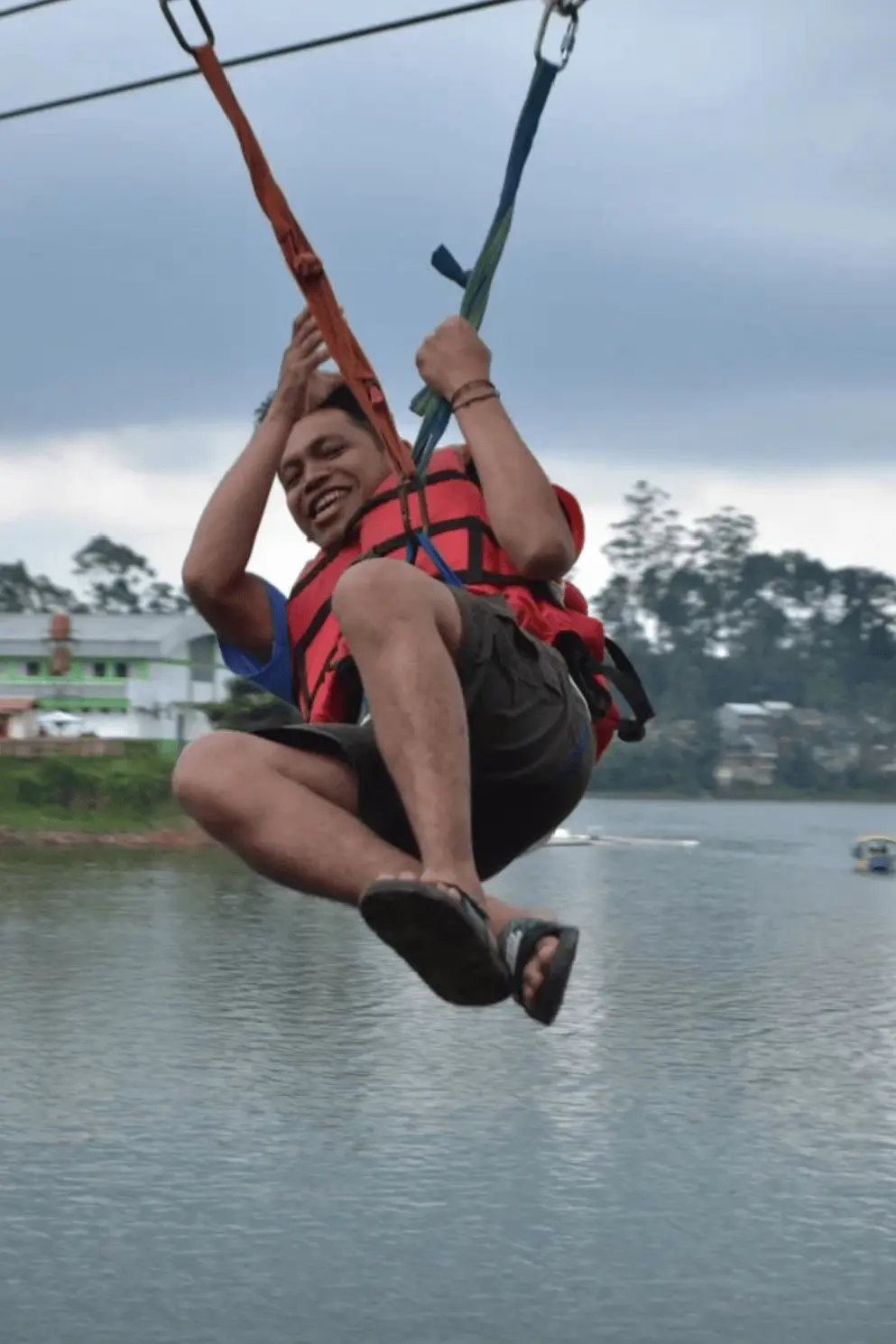 Aktivitas flying fox